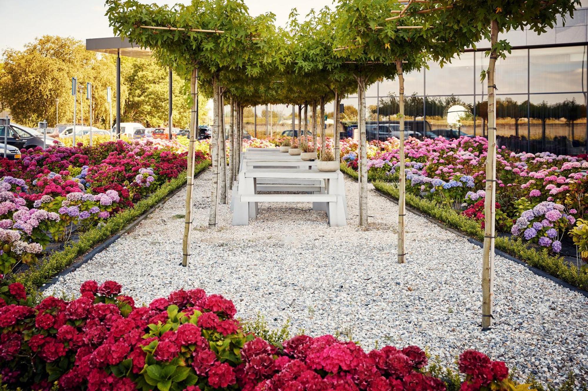 Van Der Valk Hotel Tiel Εξωτερικό φωτογραφία